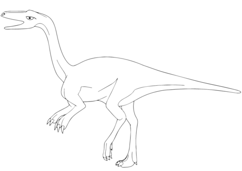 Coelophysis Coloring Page