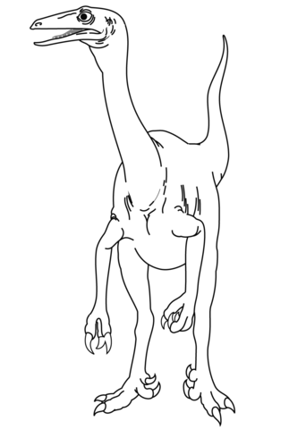 Coelurus Coloring Page