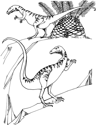 Compsognathus Coloring Page