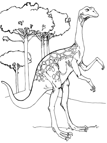 Ornithomimus Coloring Page