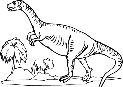 Plateosaurus Coloring Page