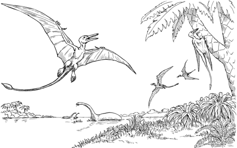 Rhamphorhynchus Coloring Page