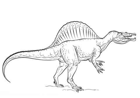 Spinosaurus Coloring Page