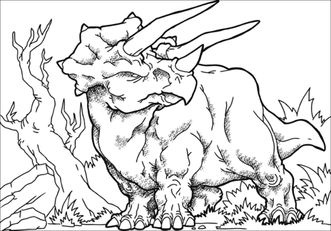 Torosaurus Coloring Page