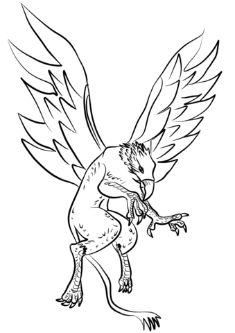 Griffon Coloring Page