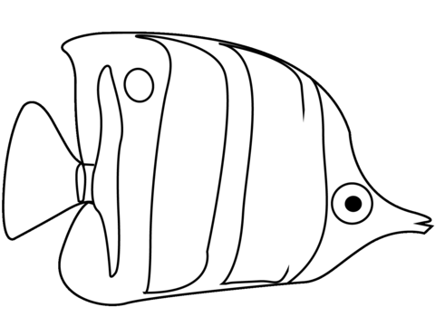 Angelfish Coloring Page