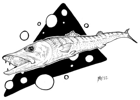 Barracuda Coloring Page