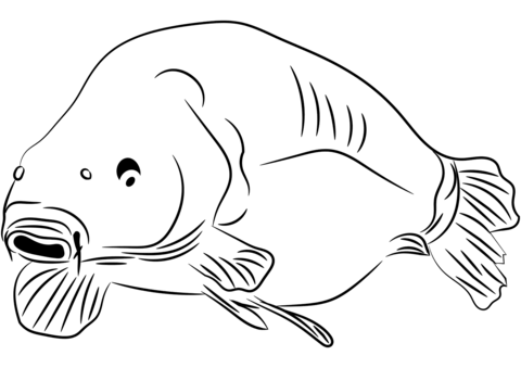 Carp Coloring Page