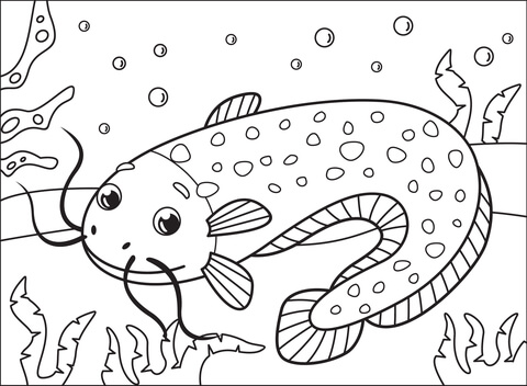 Catfish Coloring Page