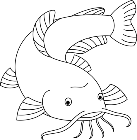 Catfish Coloring Page