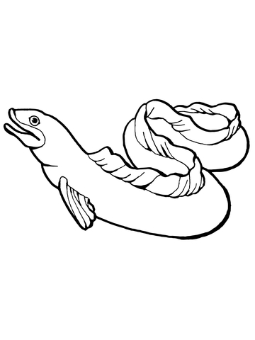 Eel Coloring Page