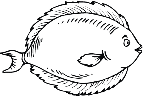 Flounder Coloring Page