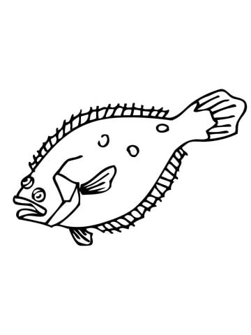 Flounder Coloring Page