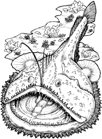 Goosefish Coloring Page