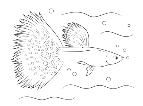 Guppy Coloring Page