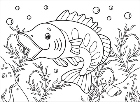 Largemouthbass Coloring Page