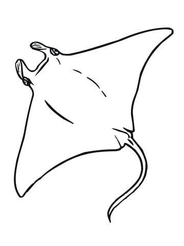 Manta Coloring Page