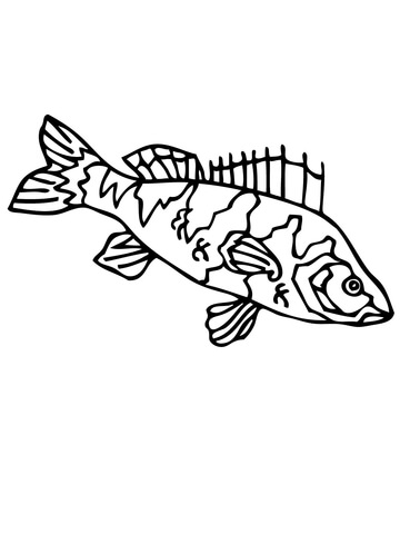 Perch Coloring Page