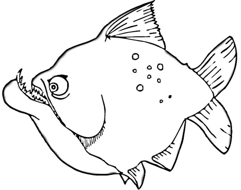 Piranha Coloring Page