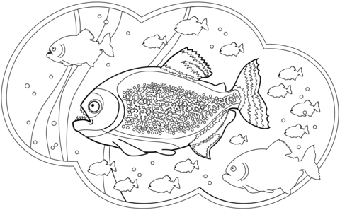 Piranhas Coloring Page