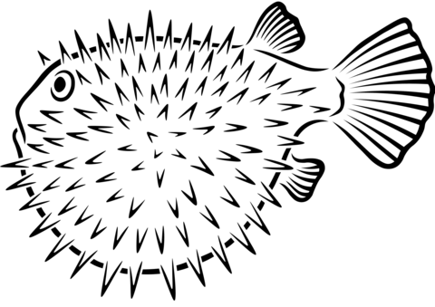 Pufferfish Coloring Page