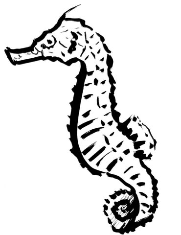 Seahorse Coloring Page