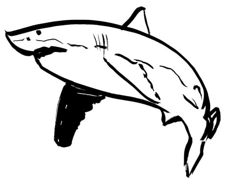 Shark Coloring Page