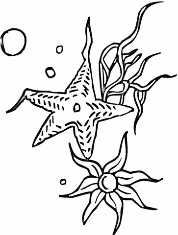 Starfishes Coloring Page