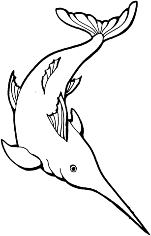 Swordfish Coloring Page