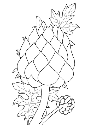 Artichoke Coloring Page