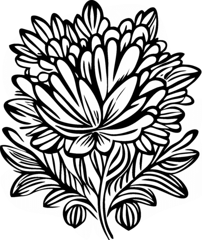 Aster Coloring Page