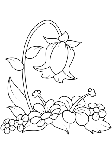 Bellflower Coloring Page