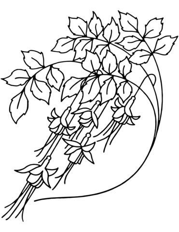 Bellflowers Coloring Page