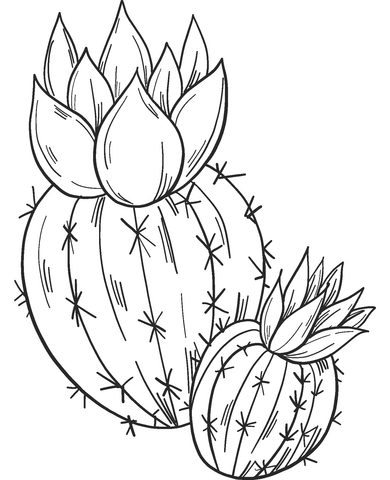 Cactuses Coloring Page