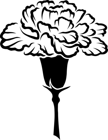 Carnation Coloring Page