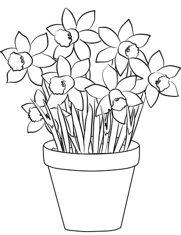 Daffodils Coloring Page