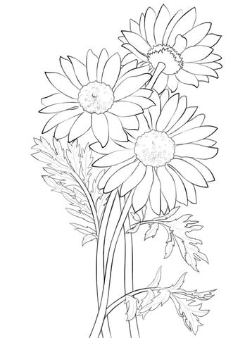 Daisy Coloring Page