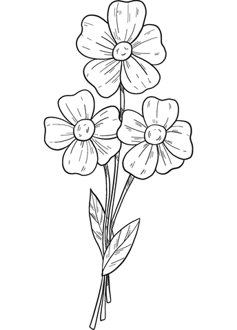 Forget Me Not Coloring Page