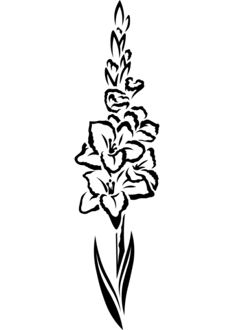 Gladiolus Coloring Page