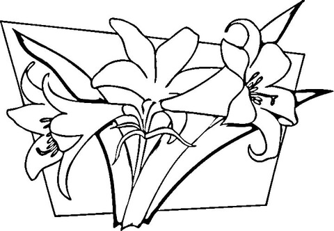 Lilies Coloring Page