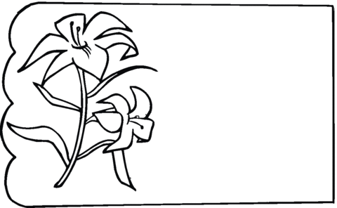 Lily Coloring Page