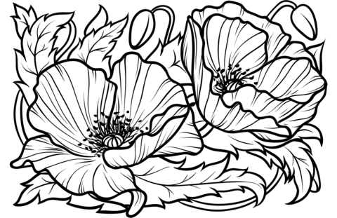 Popies Coloring Page