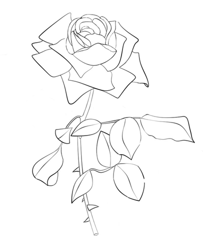 Rose Coloring Page