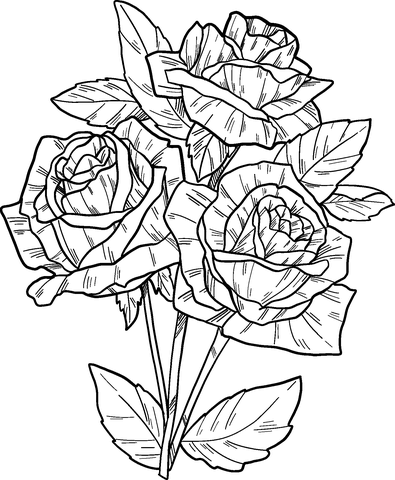 Roses Coloring Page