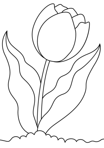 Tulip Coloring Page