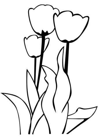 Tulips Coloring Page