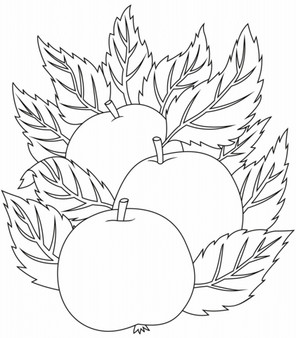 Apples Coloring Page