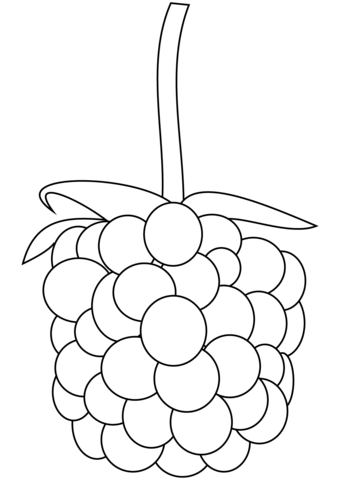 Blackberry Coloring Page