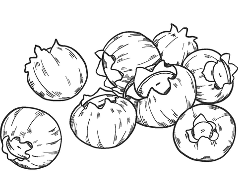 Blueberries Coloring Page