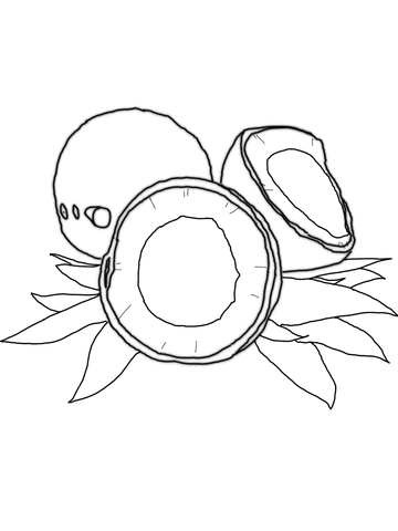 Coconut Coloring Page